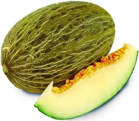 Melón de piel de sapo