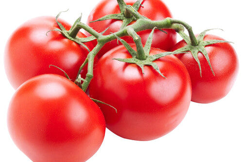 Tomato branch, 500g