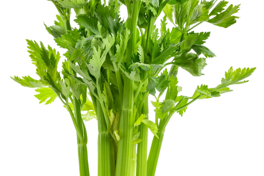 Celery, 1 bunch