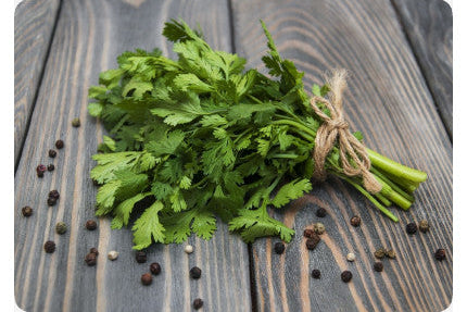 Fresh coriander, 50g