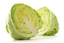 Flat cabbage