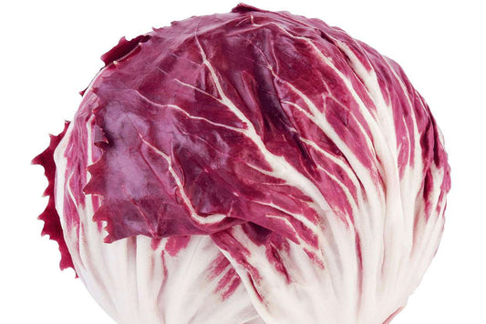 Radicchio Lettuce