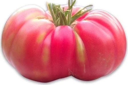 Tomato rosa, 500g