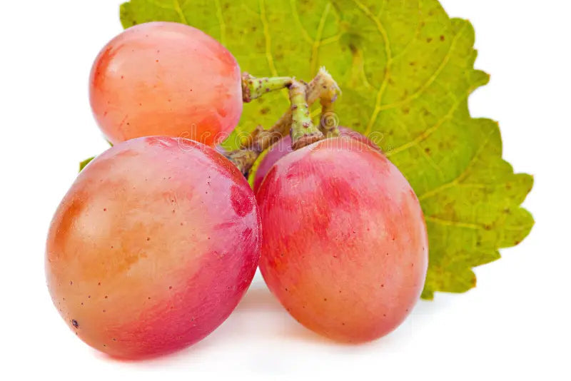 Rosa seedless grapes, 1kg